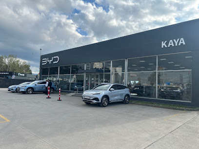KOCAELİ - BYD Kocaeli Kaya
